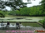 1106syokubutu03.JPG